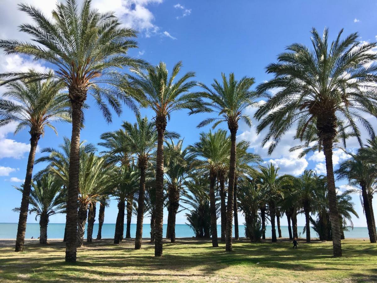 Pangsapuri studio 25 m² dengan 1 bilik mandi peribadi di Pusat Bandar Torremolinos Luaran gambar